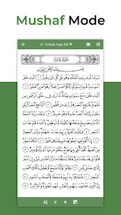 Al Quran (Tafsir & by Word) 1.11.2 Screenshots 3