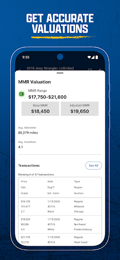 Manheim screenshot 4