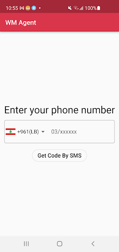 WM Agent Screen 2