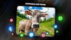 screenshot of Animals Wallpapers for phone