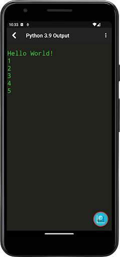 Python Programming Interpreter Screen 3