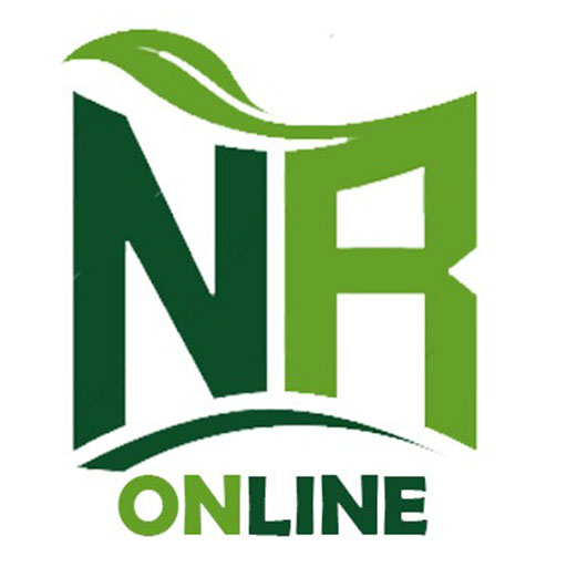 Dr Najm Rehan online  Icon