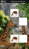 Memorize! Zoo