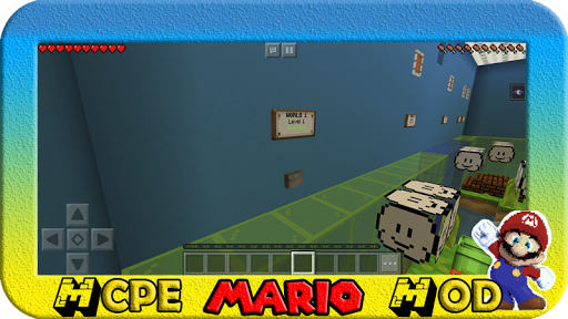 Mod Super Mario 3D Minecraft Screen 3