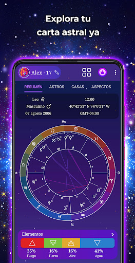 Vista previa de la aplicación