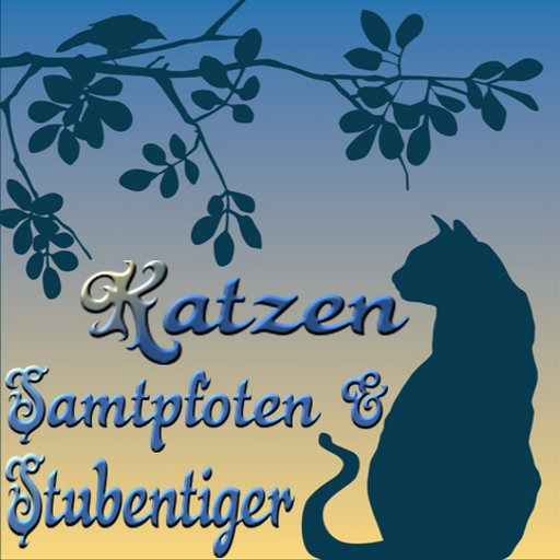 Katzen Samtpfoten&Stubentiger