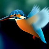 Kingfisher LiveWallpaper Trial icon