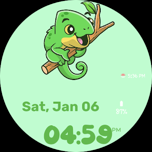 Chameleon Watch Face