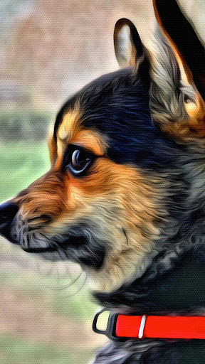 Screenshot of Portrait Painter
