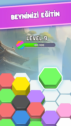 Hexa Tris: Dünya Turu Bulmaca ekran görüntüsü