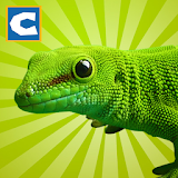 Lizard Simulator icon