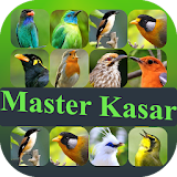 Master Suara Burung Kasar icon