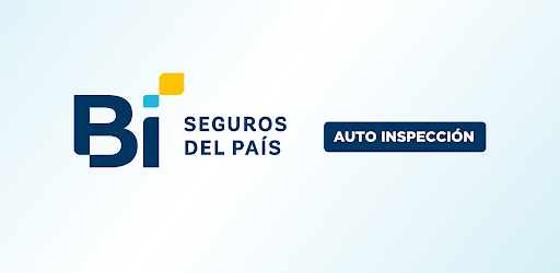 Auto Inspección