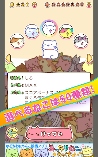 Download みっちりねこ だっしゅ On Pc Mac With Appkiwi Apk Downloader