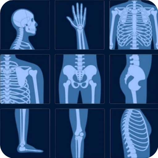 X-Ray Interpretation Guide Download on Windows
