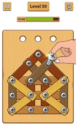 Game screenshot Nuts Bolts ASMR - Wood Nuts mod apk