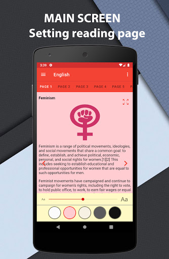 History of Feminism - Feminist Screen 2