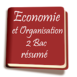 economie et organisation 2bac resume icon