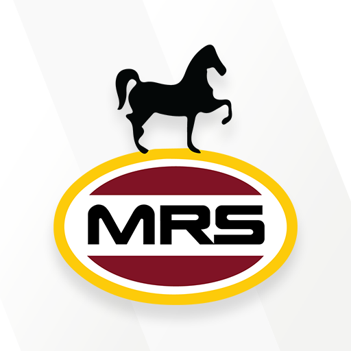 MRS eShop  Icon