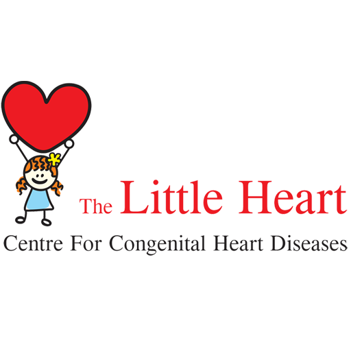 The Little Heart 1.1 Icon