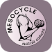 MesoCycle