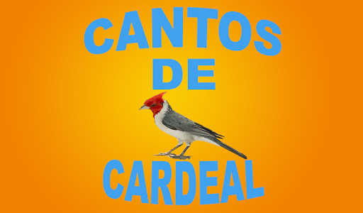 Cantos De Cardeal