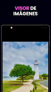 Imagen de la captura de pantalla