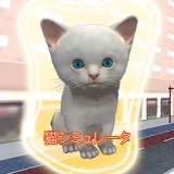 Cat Simulator 2016 icon