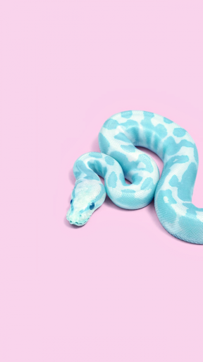 Android application Snake Wallpaper 4K screenshort