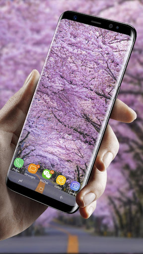 Romantic Sakura 3D Live Wallpa Screen 3