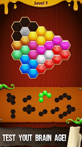 Hexa-mazing Fun: 블록 퍼즐