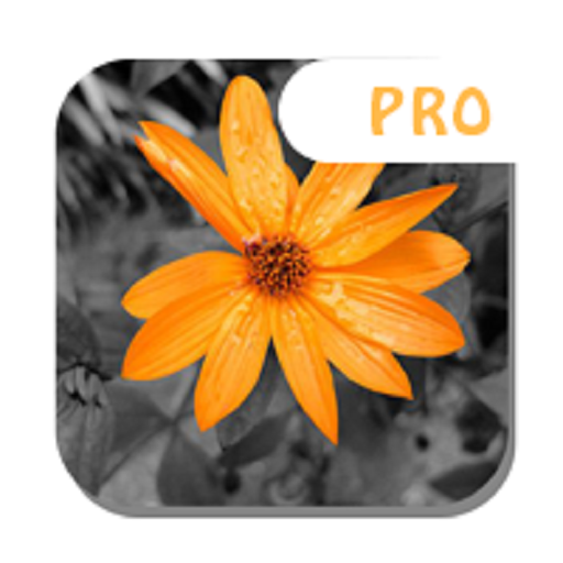 Color Splash -Photo Editor Pro 1.4 Icon