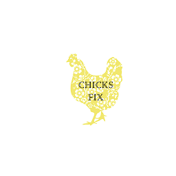 图标图片“The Chicks Fix Boutique”