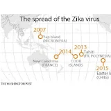 Zika Virus Treatment icon