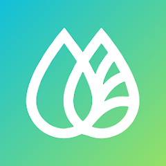 Icon image