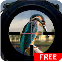 Desert Bird Hunting:A FPS Safari Shooting Game