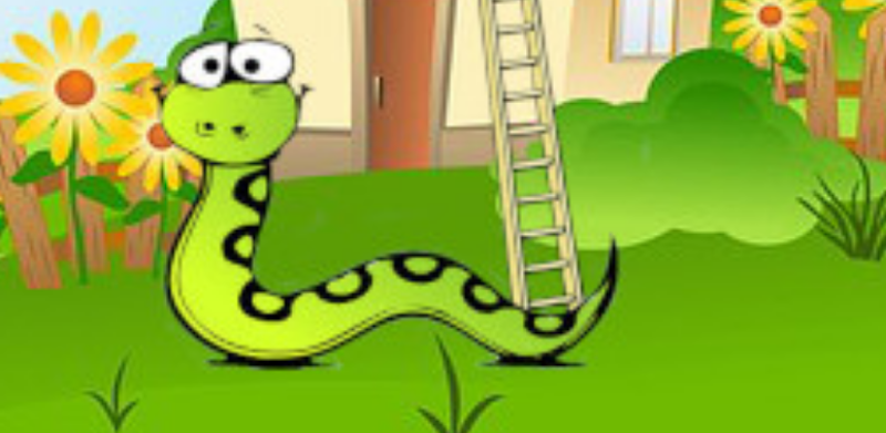 The Game of Snakes and Ladders