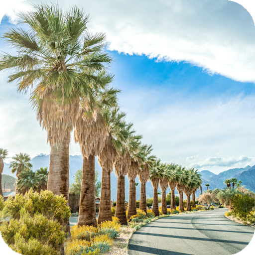 Palm Springs Wallpaper - AppWisp.com