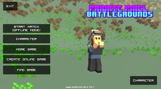 Private Pixel Battlegrounds Screen 3