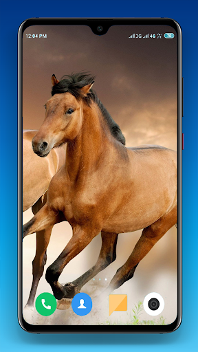 Horse Wallpapers 4K Screen 2
