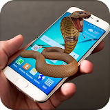Snake on Mobile Screen Prank icon