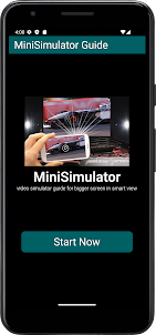Pro Video Simulator Guide