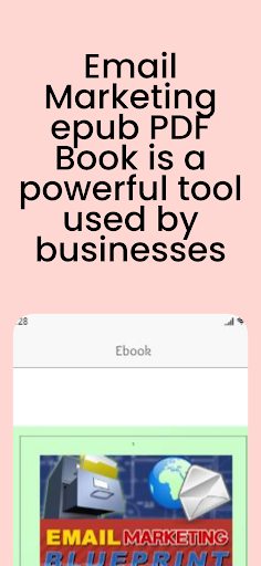 Email Marketing epub PDF Book Screen 2