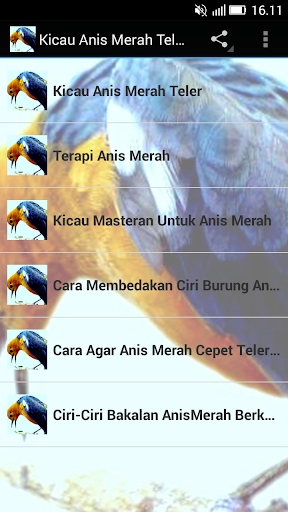 Kicau Anis Merah Teler Juara