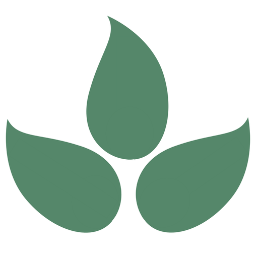 Bravenly Global logo