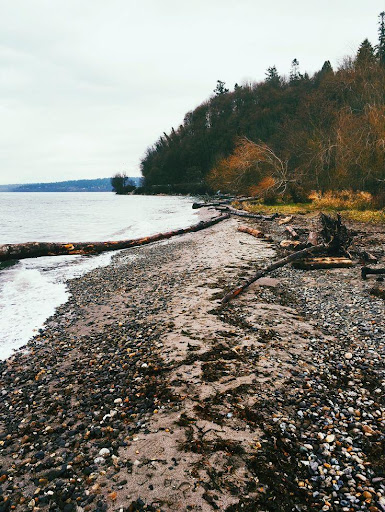 Washington Wallpaper HD