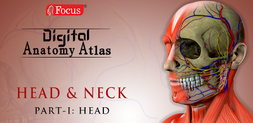 Head and Neck- Digital Anatomy
