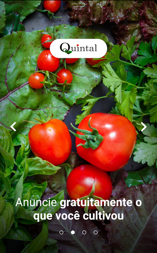 Quintal: sem agrotóxicos Screen 2