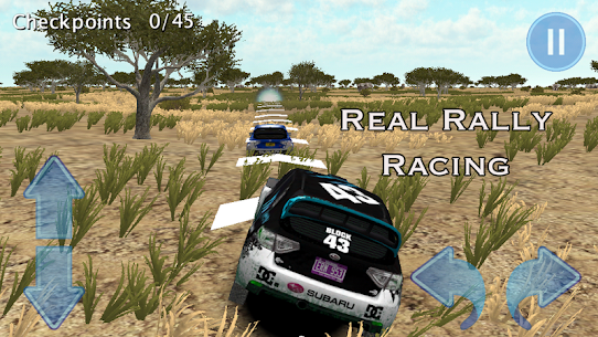 Rally Race 3D : Africa 4×4 For PC installation