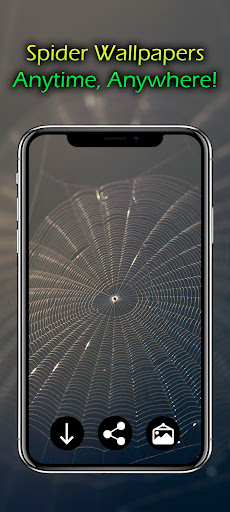 Logo https://play-lh.googleusercontent.com/ojfnuCQJjVdDXQT4E8yEL2Hc8eiV0tNT0DvdL7NQUAfFJB8YUsUD0gjBNokld8ukLOY